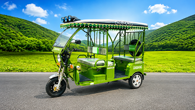 Gayatri Electric Dabang Journey