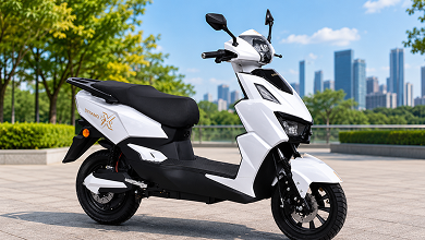 Dynamo X3T Electric Scooter