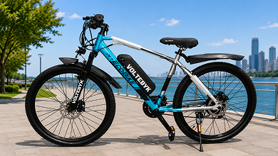 Voltebyk Eco Lit Plus 27T Electric Cycle